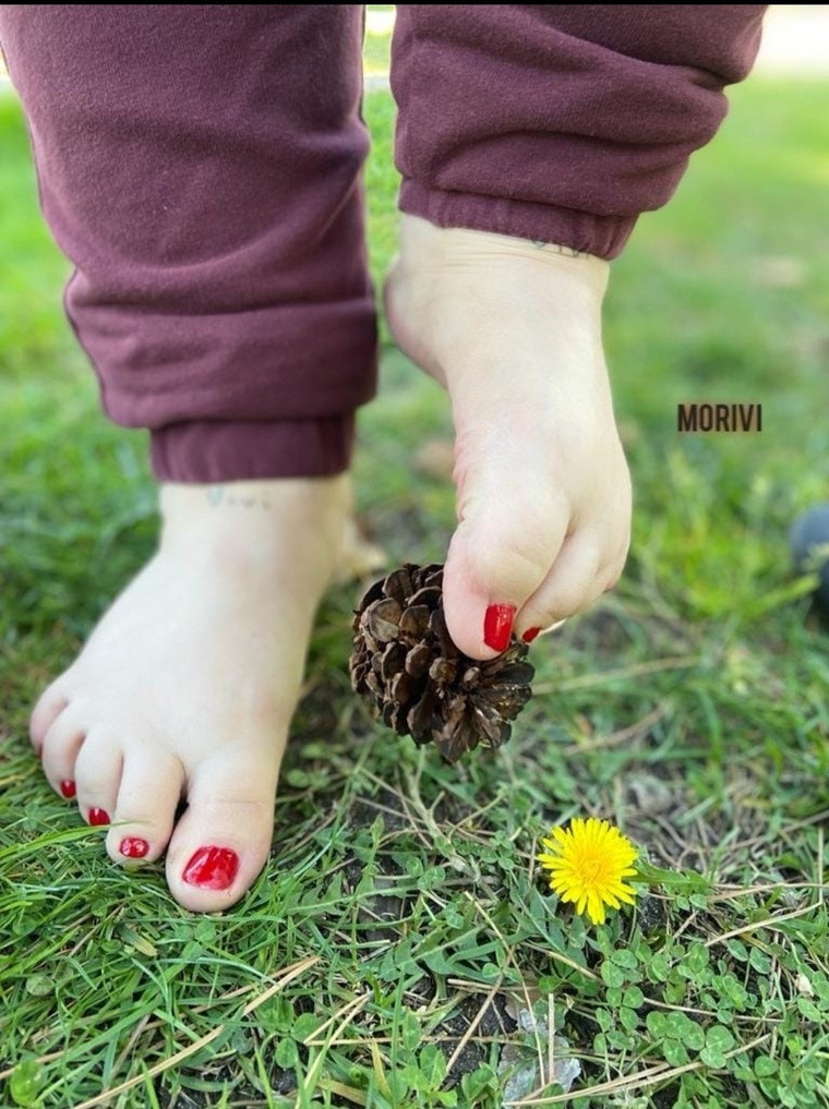 MoriVi cover image