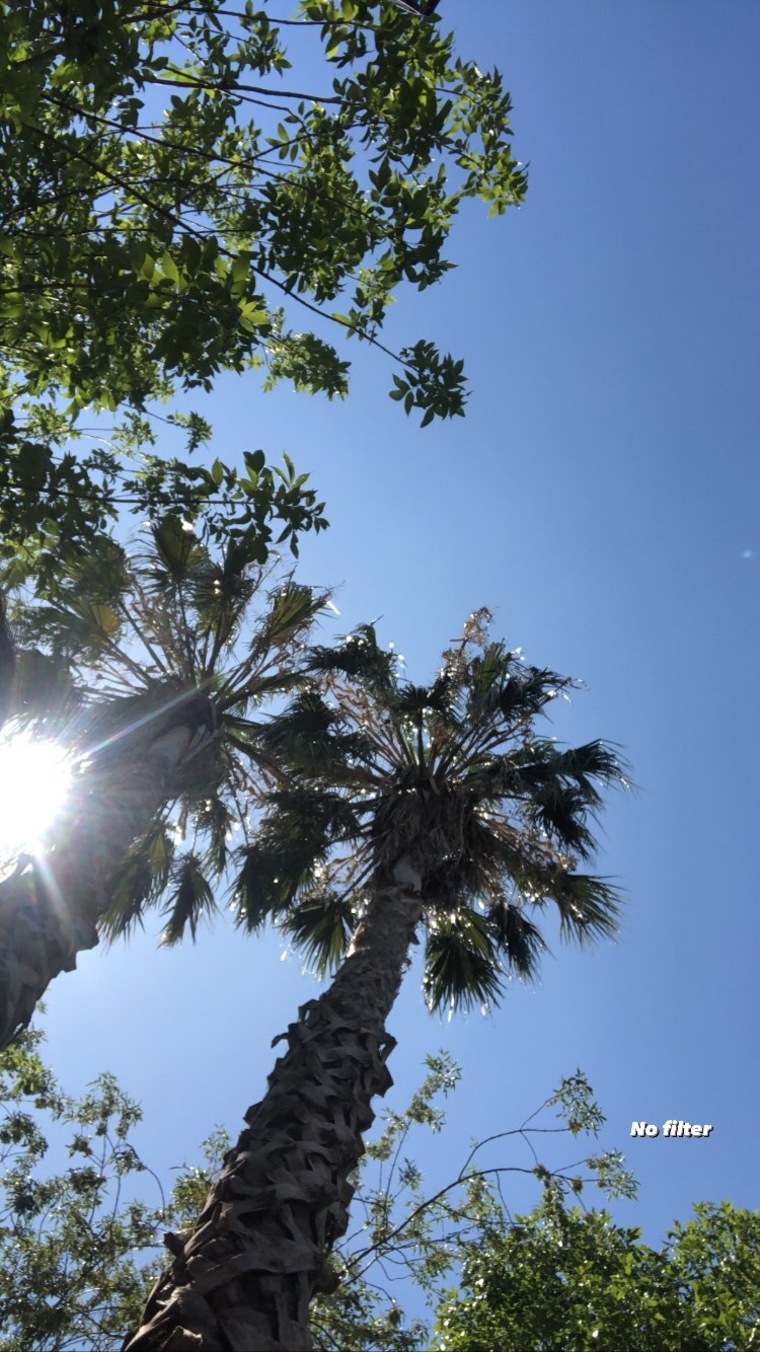 Mayπ¦π· banner image