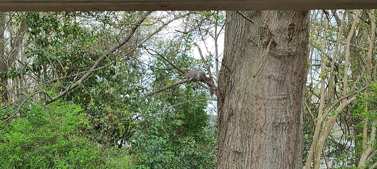 Mick M banner image