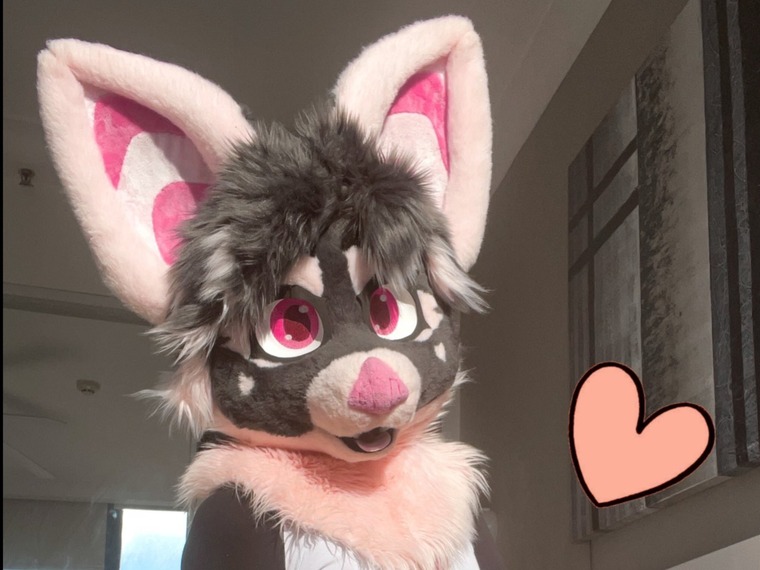 Amber Fox banner image