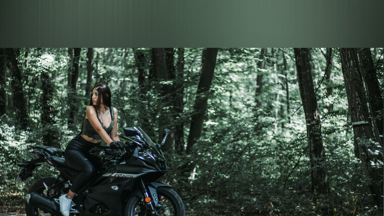 Motodaisy cover image