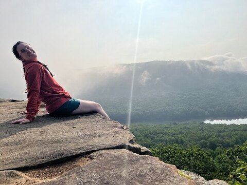 Mountain Laurel cover image