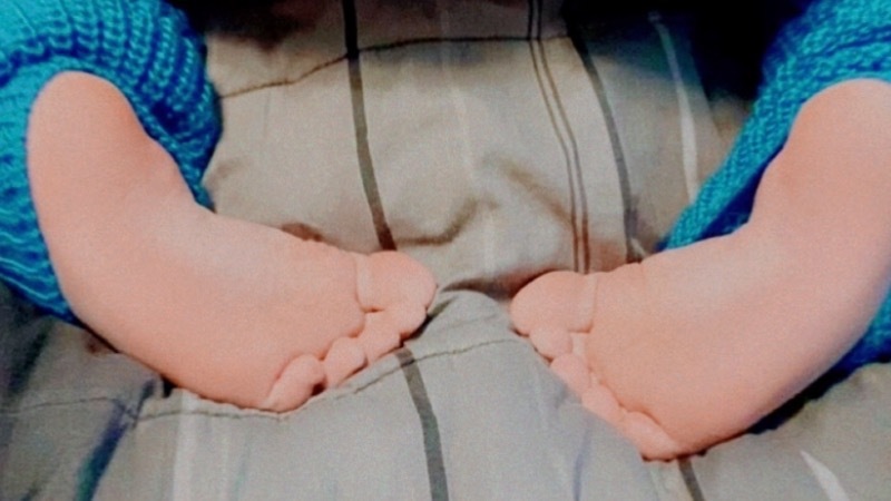 Moxi Luxe banner image