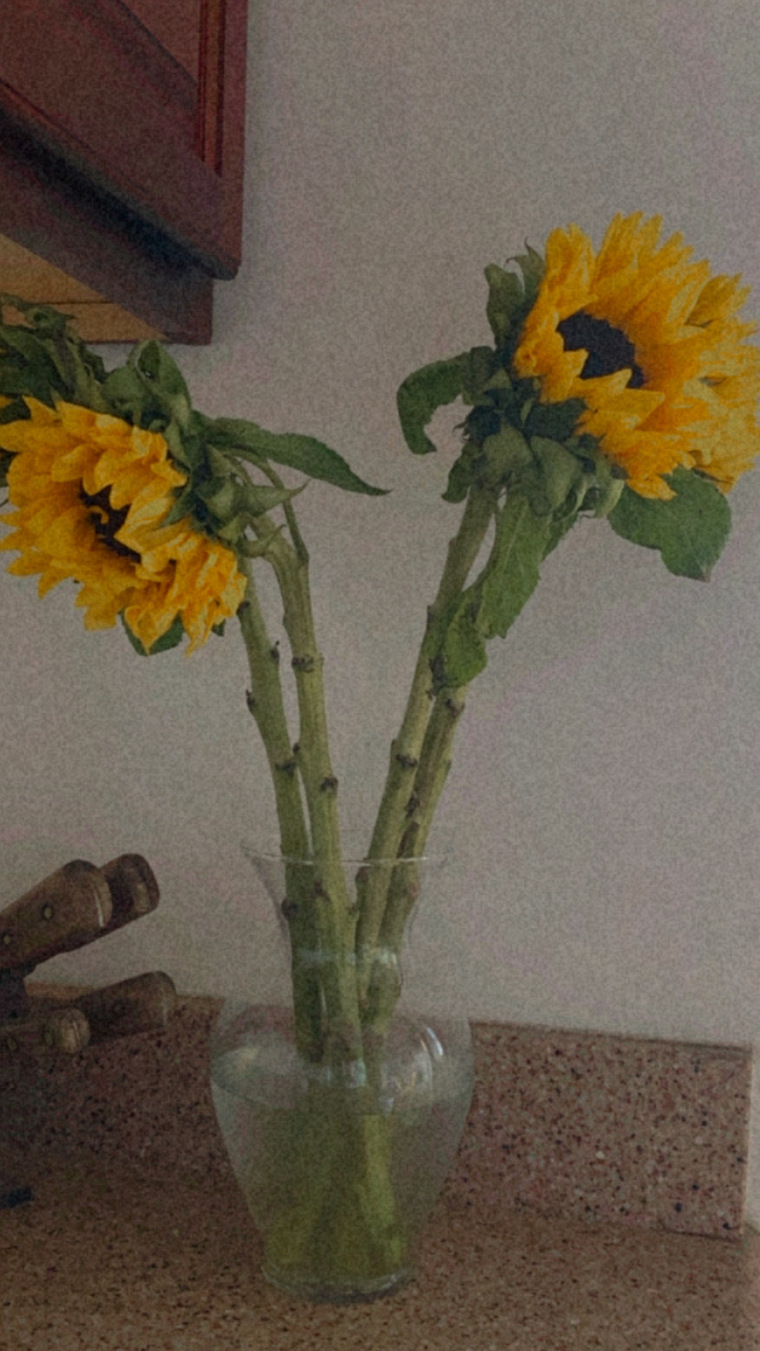 V banner image