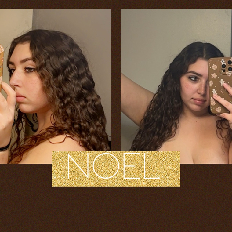 Noel banner image