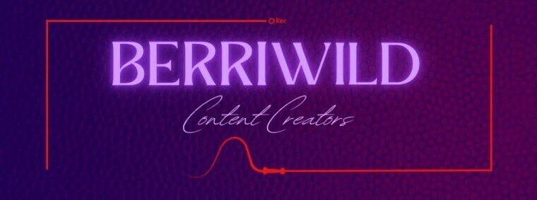 Mr Berri Wild cover image