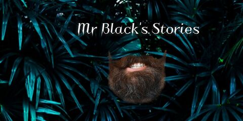 Mr.Black cover image