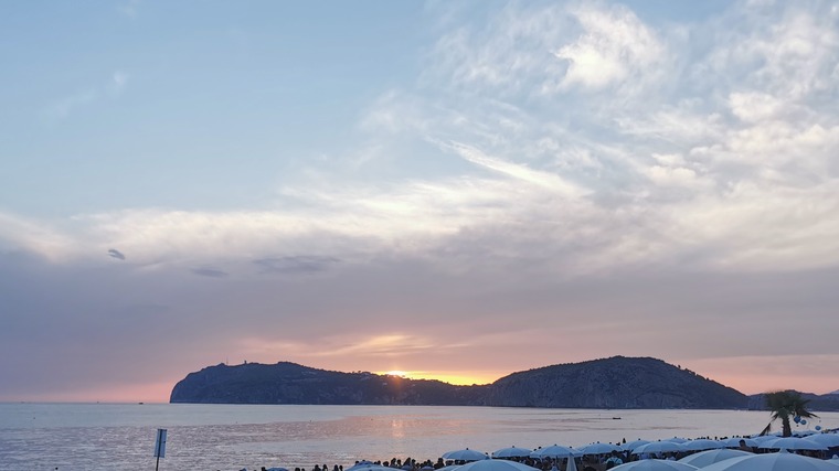 Black Flower banner image