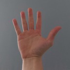 Mr.HandsNfeet avatar