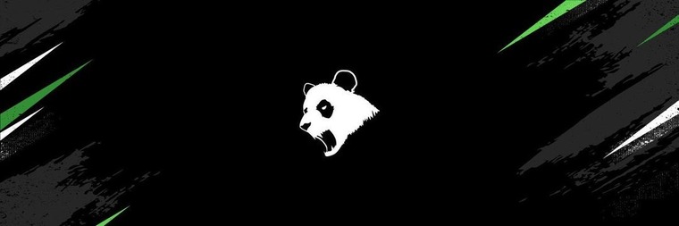 Chubby Panda cover image