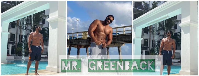 Mr.Greenbacks POV cover image