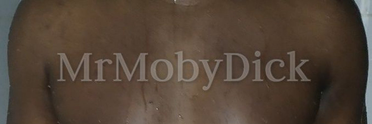 Mr_MobyDick (Free Page) cover image