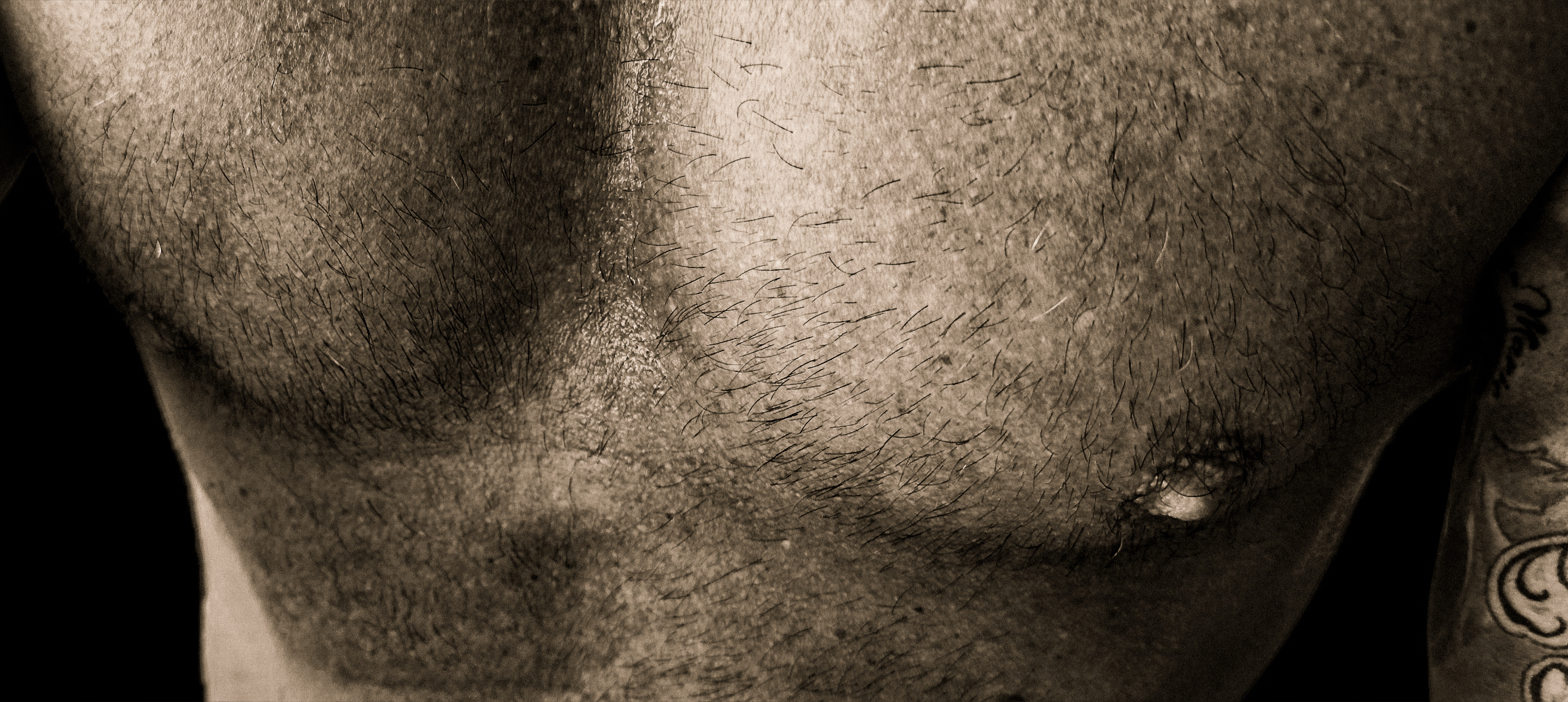 Jan ๐ฉ๐ช banner image