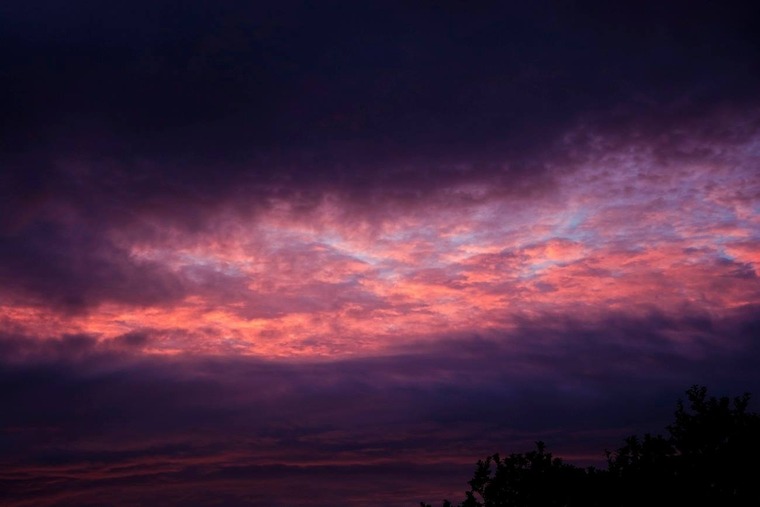 Paul bellaby banner image