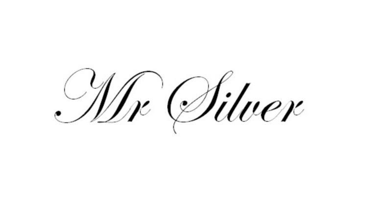 Mr Silver banner image