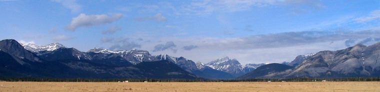 South - (mostly SFW) banner image