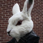 Mr. Bunny avatar