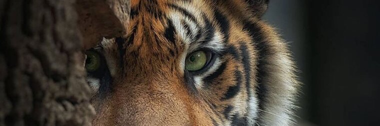 ๐๐ป.๐๐ป๐ฒ๐ผ๐ฐ๐ป๐ฎ๐ฎ๐ท banner image