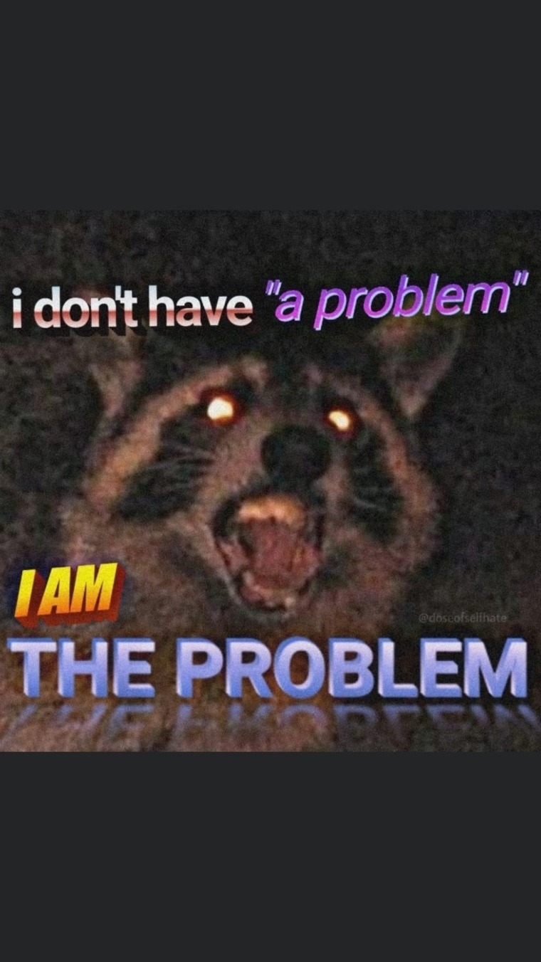 Rayrayditches cover image