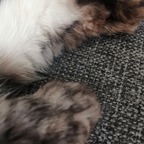 MRFeet84 avatar