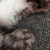MRFeet84 avatar