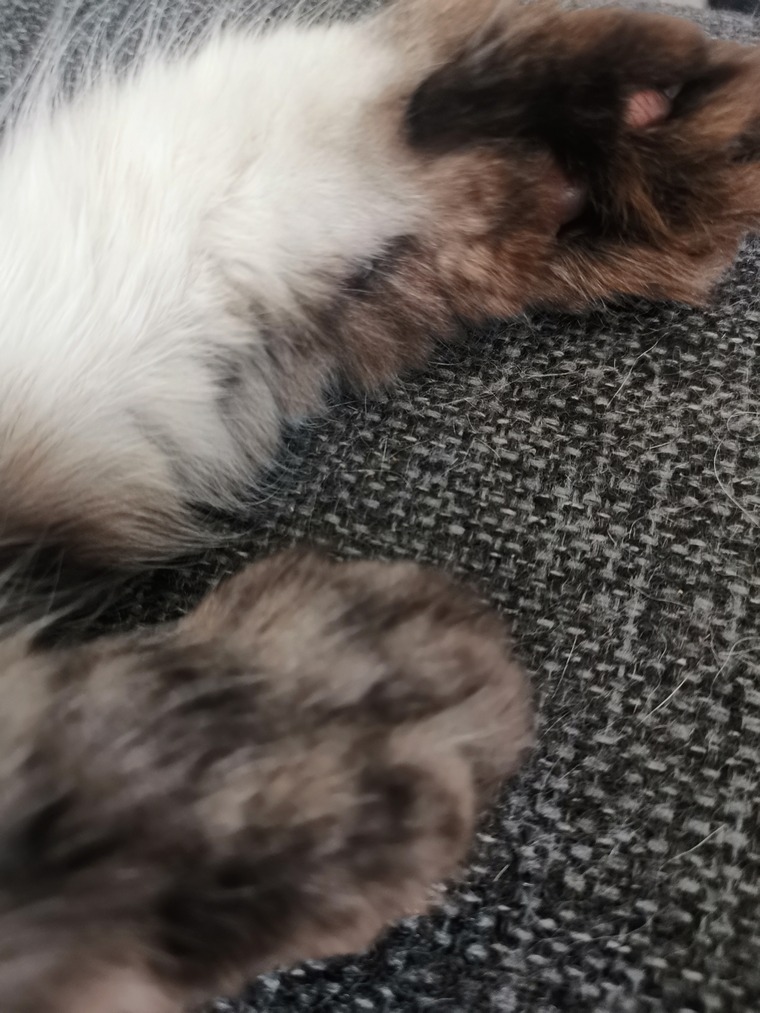 MRFeet84 cover image