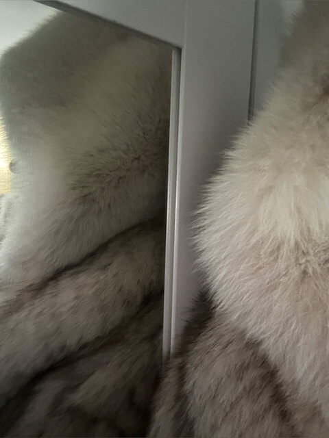 Obsessed with thick soft furs cover image
