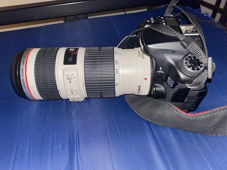 Mr. King Jr   Photographer cover image