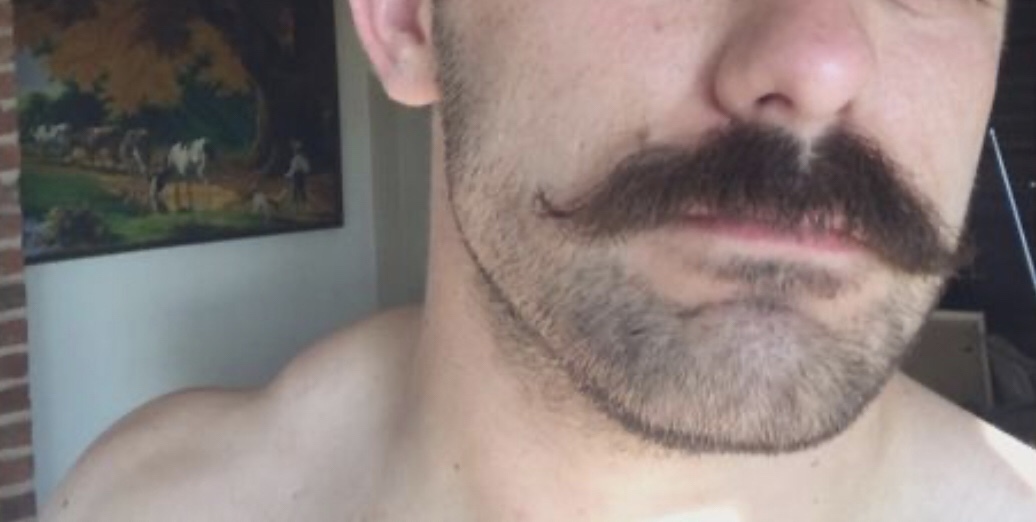 Brandy & Mr. Moustach banner image