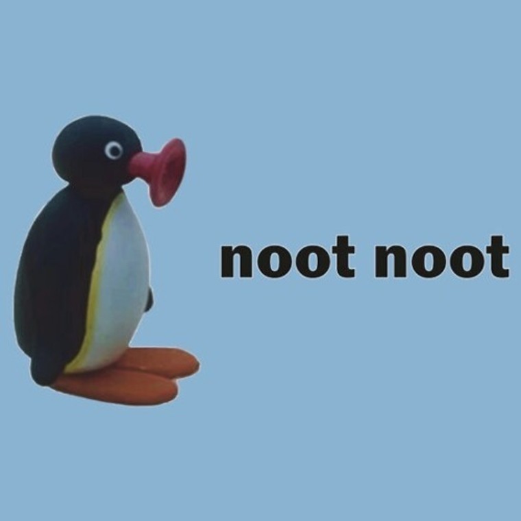 MrNootNoot cover image