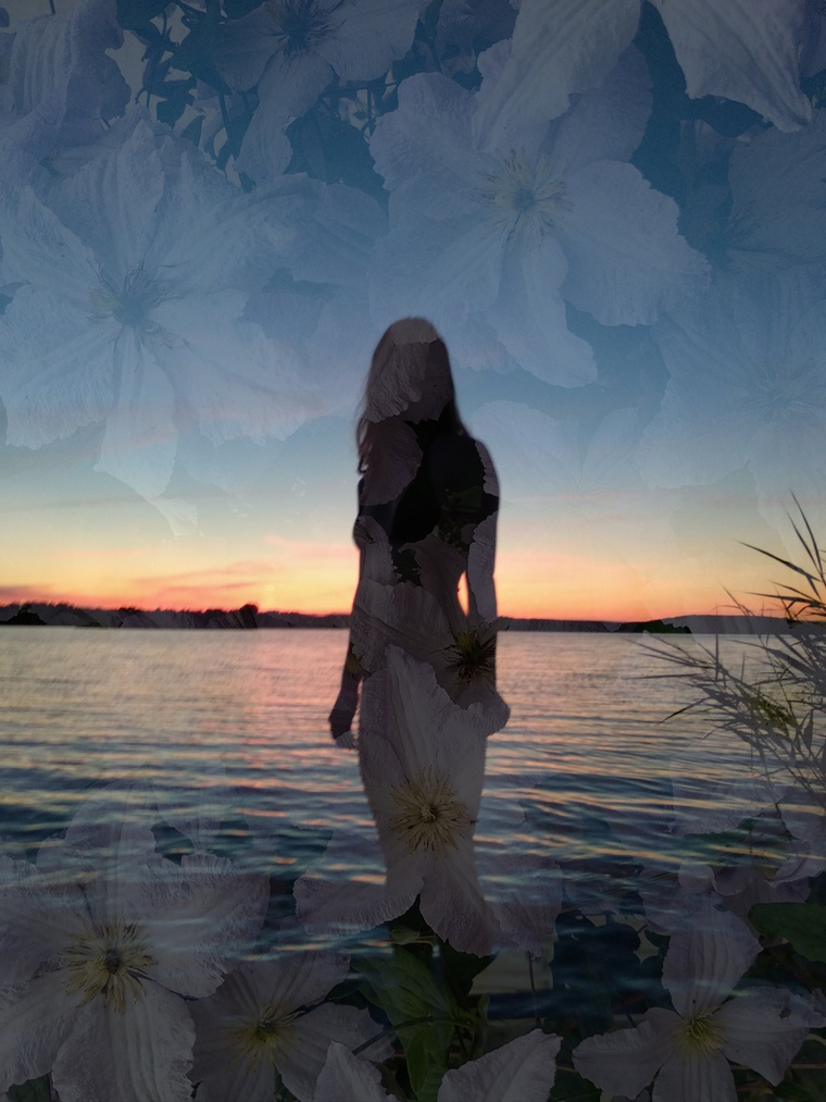 call me miss cover image
