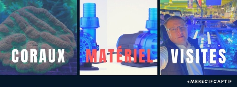 Mr Recif Captif banner image