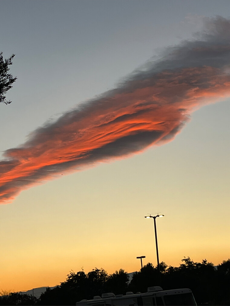 Rexxy cover image