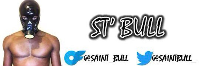 SAINT BULL cover image