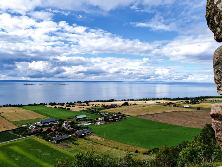 ThessieSweden banner image