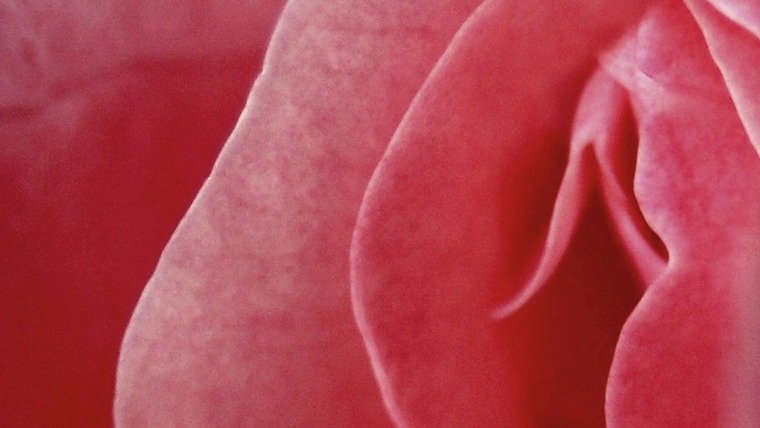 Mrs Lexi Woods banner image