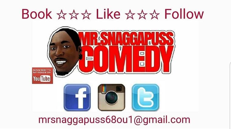 MrSnaggapuss cover image