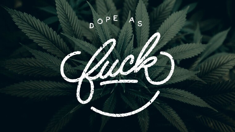 Mr.Stoner cover image