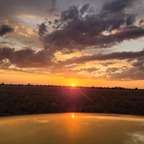 Mr Sunset avatar