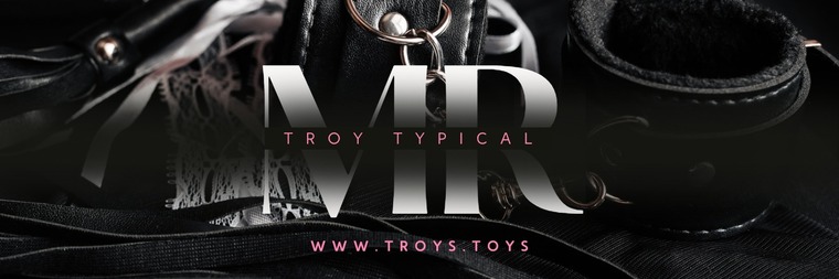 Mr. Troy Typical cover image