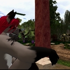 Xewdrad Greyfox avatar