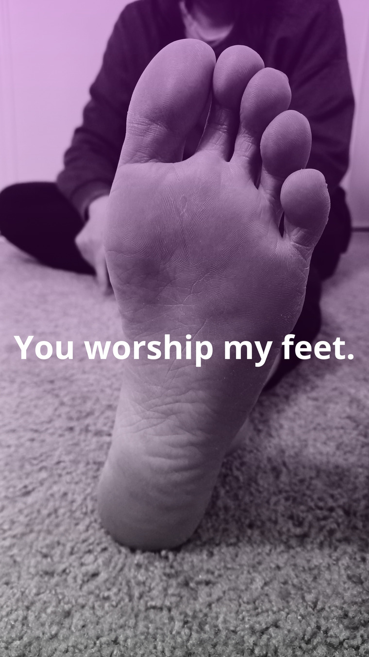Ms.BossFeet banner image