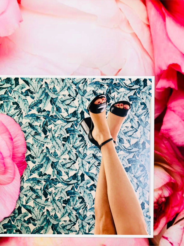 Maggie Lane cover image
