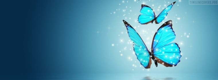 Minaa 🦋 banner image