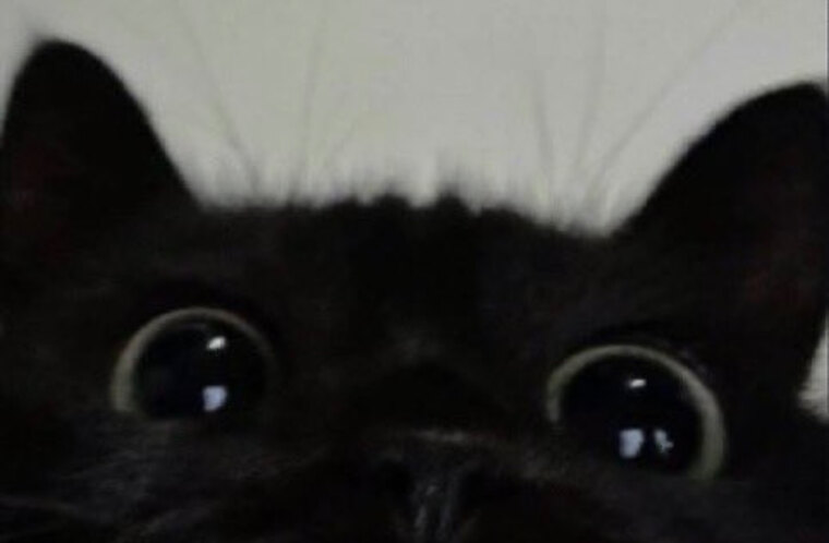Average baby cover image