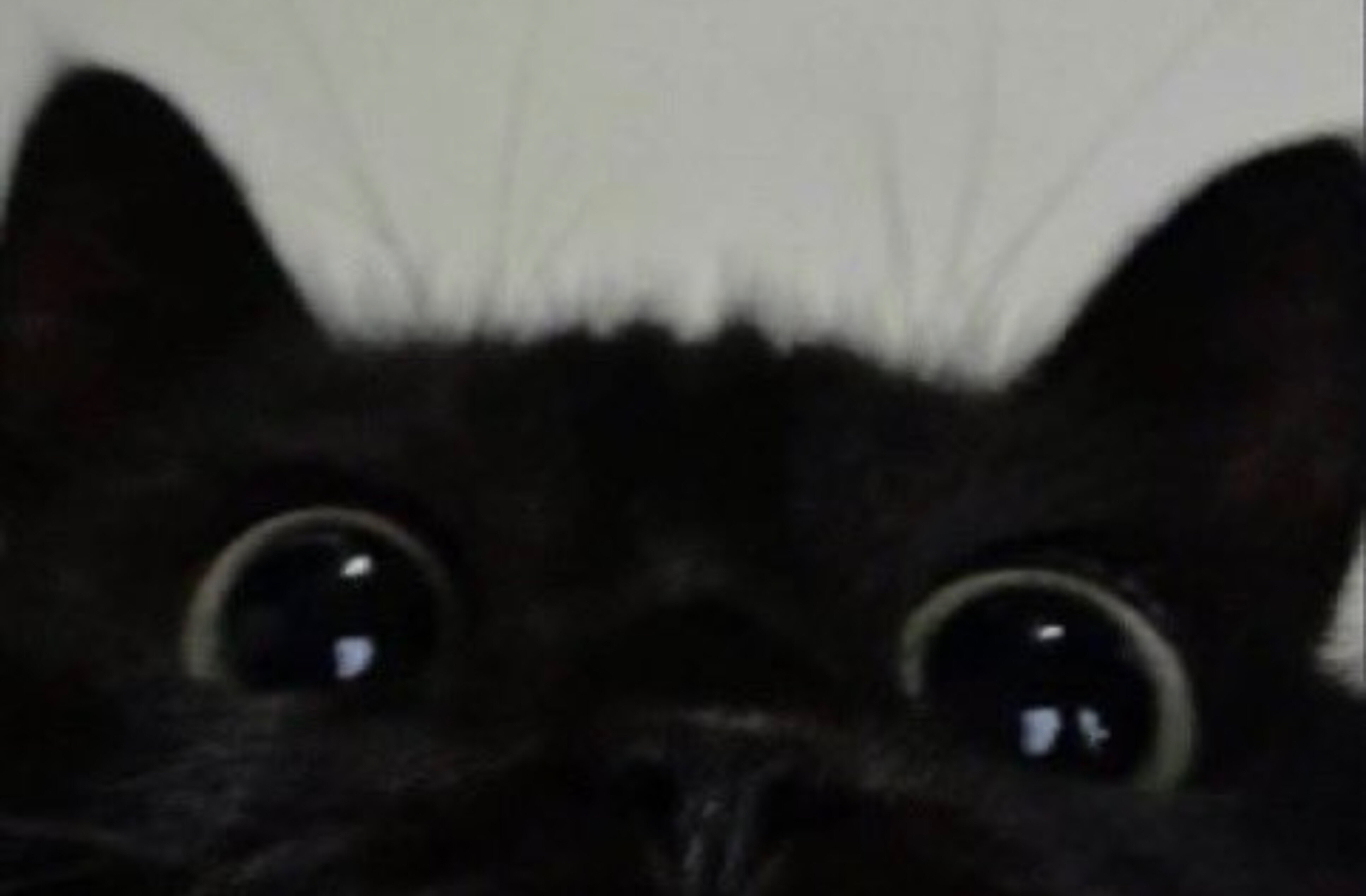 Average baby banner image