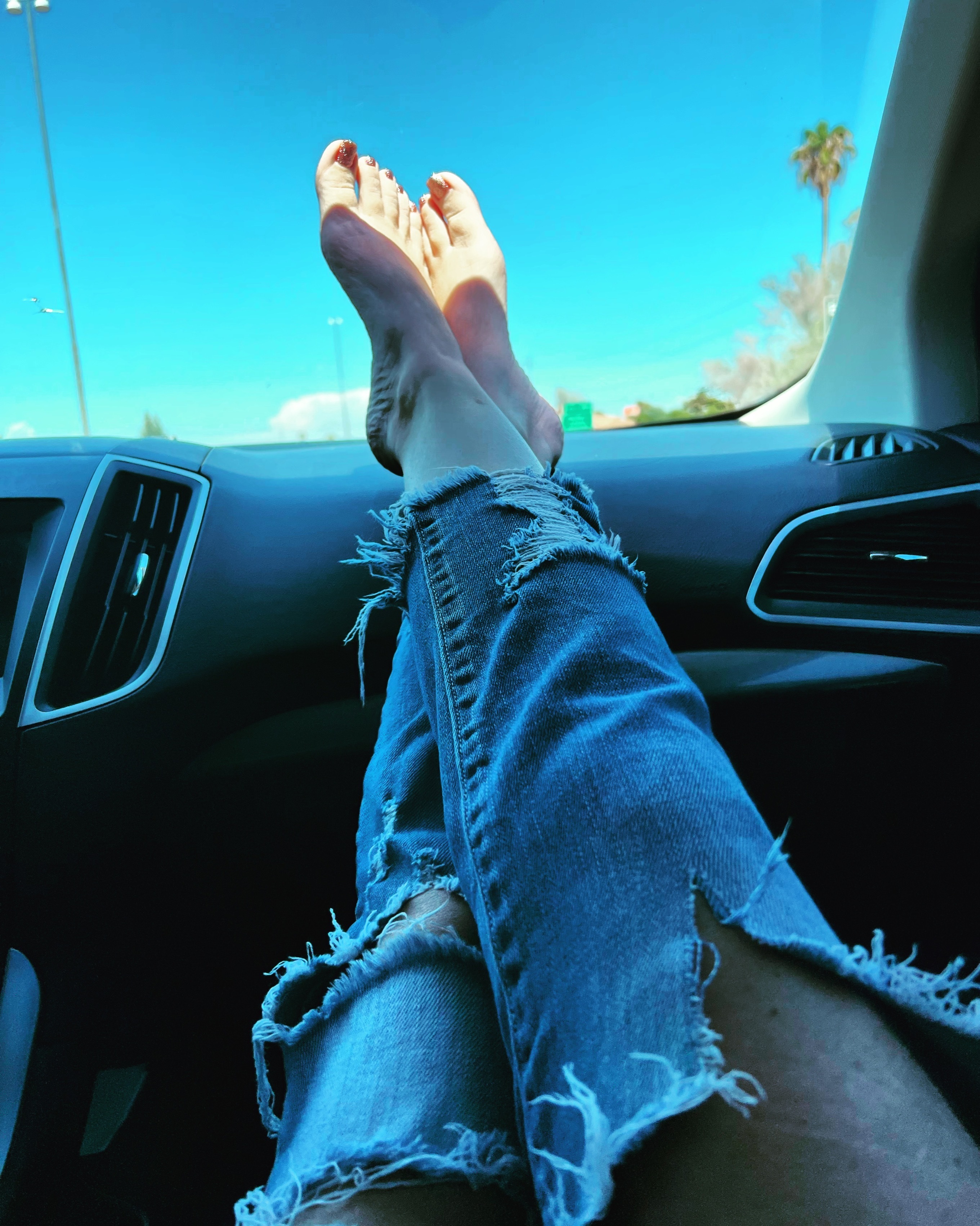 Ms_Tiny_Feet banner image