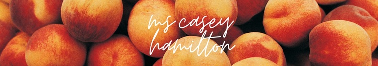 casey hamilton ✨ banner image