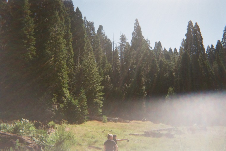 Rose Taylor banner image