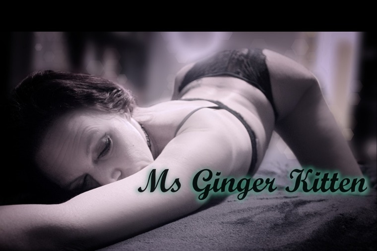 Ms Ginger Kitten banner image